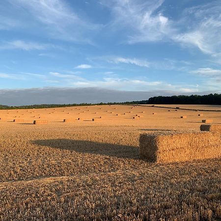 Watlington The Little Orchard别墅 外观 照片