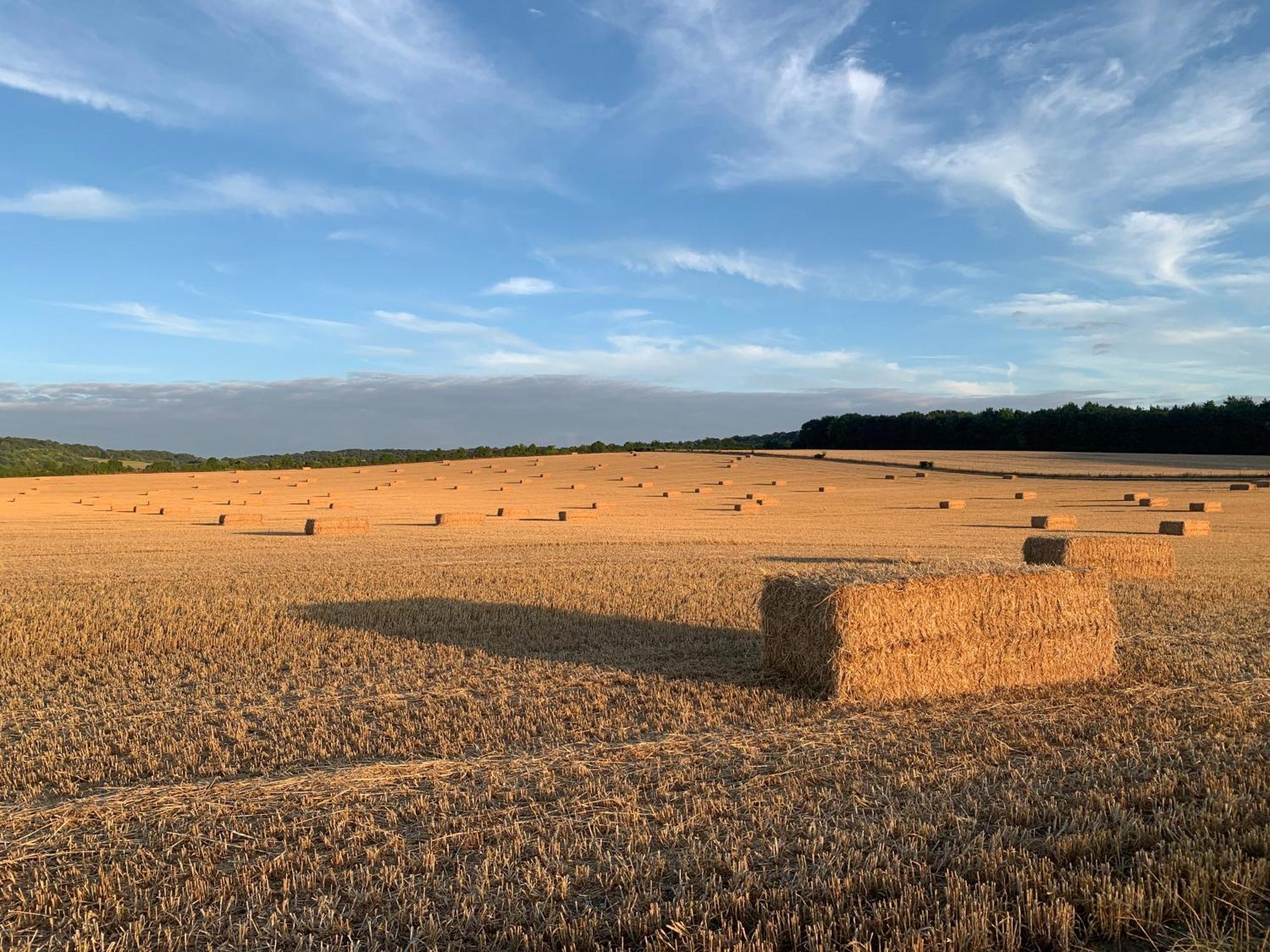 Watlington The Little Orchard别墅 外观 照片